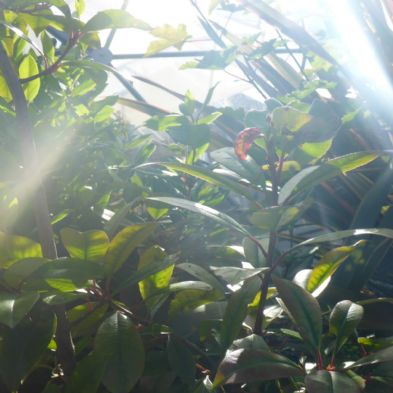 tsa_photoclub2019 (18)(1)